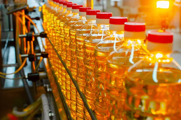 Sunflower oil. Factory line of production and filling of refined oil from sunflower seeds. Factory conveyor of food industry.