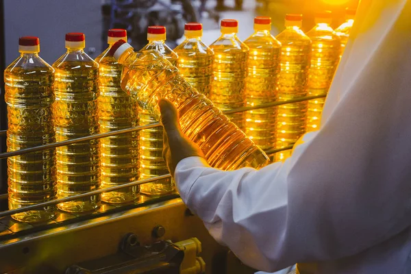 Sunflower oil. Olive oil. The employee of the factory in a white coat holds a bottle of oil in his hands on a conveyor belt. Production of oil.