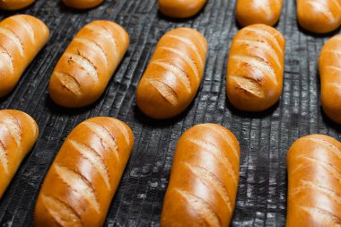 Fırındaki fırın. Sıcak taze ekmek endüstriyel fırını bir fırında bırakır. Otomatik ekmek üretim hattı