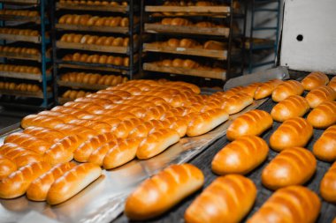 Fırındaki fırın. Sıcak taze ekmek endüstriyel fırını bir fırında bırakır. Otomatik ekmek üretim hattı