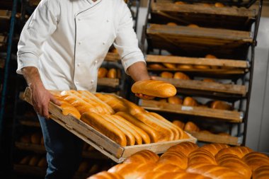 Fırında bir fırıncı ahşap bir sandıkta taze ekmek yığıyor. Sanayi ekmek üretimi