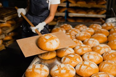 Baker, fırının yakın planındaki tahta küreğin üzerinde taze ekmek tutuyor. Sanayi ekmek üretimi