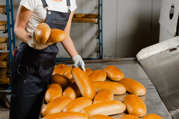 Руки Бейкера Зближуються Пекар Пекарні Кладе Свіжий Хліб Коробку Промислове — стокове фото