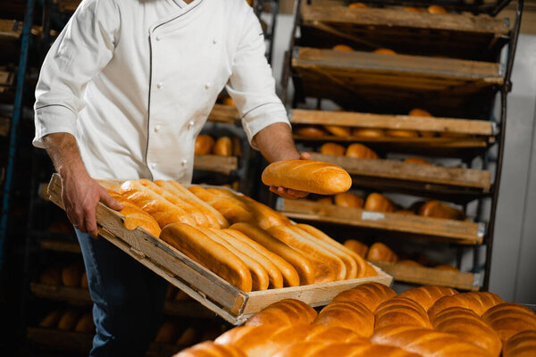 A baker in a bakery stacks fresh hot bread in a wooden crate. Industrial bread production