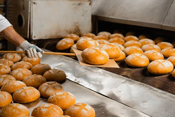 Fırıncı bir fırındaki sanayi fırınından ahşap bir kürek sıcak ekmek alır. Sanayi ekmek üretimi