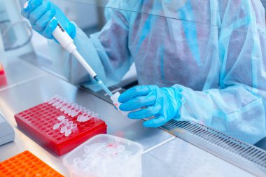 Laboratuvarda DNA testi. Elinde şeker kutusuyla laboratuvar teknisyeni steril bir laboratuvarda cam arkasında DNA analizi yapıyor..