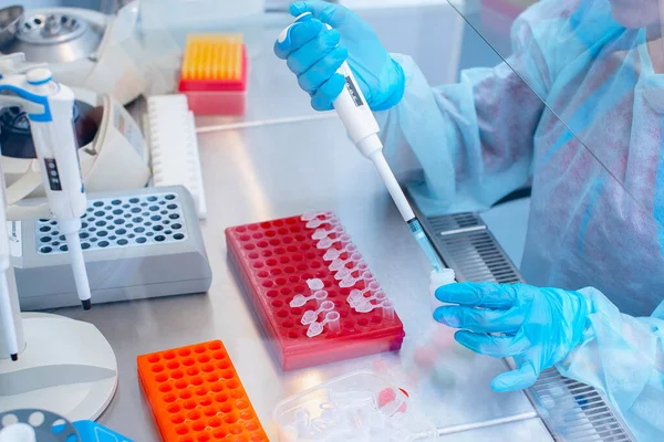 Laboratuvarda DNA testi. Elinde şeker kutusuyla laboratuvar teknisyeni steril bir laboratuvarda cam arkasında DNA analizi yapıyor..