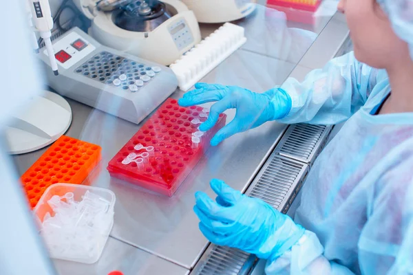 Laboratuvarda DNA testi. Elinde şeker kutusuyla laboratuvar teknisyeni steril bir laboratuvarda cam arkasında DNA analizi yapıyor..