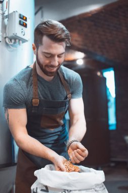 Genç bir bira üreticisi bira fabrikasının arka planındaki bir poşette maltı inceliyor..