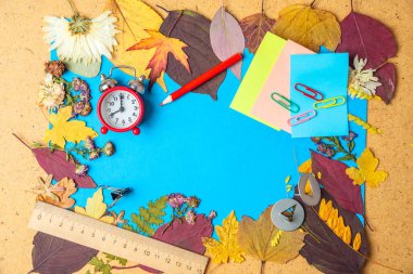 Okul konseptine geri dönelim. Kuru yapraklardan ve okul malzemelerinden oluşan sonbahar dönemi. Boşluğu kopyala