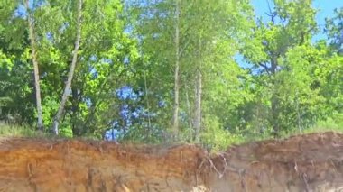 Yükseklikte kayalık, ağaçlar