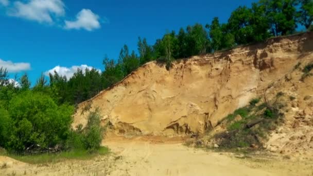 Дерева на краю скелі — стокове відео