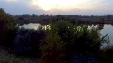 Nehir kıyısındaki ağaçlar