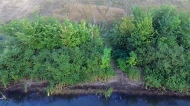 Çalılıkları banka nehrinde