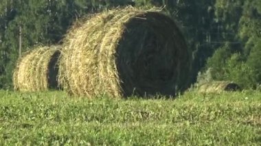 Yerdeki yuvarlak haystacks