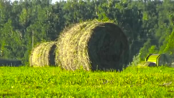 Трактор и стога сена — стоковое видео