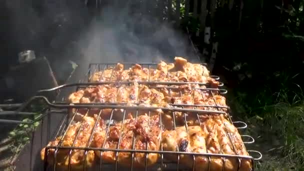 Pieces of chicken cooked on the grill — Stock Video