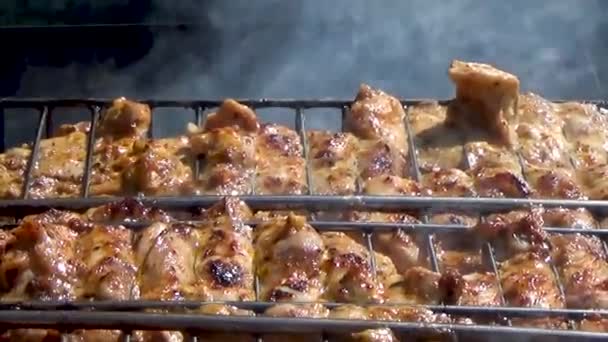 Bitar av kyckling kokt på kolen — Stockvideo