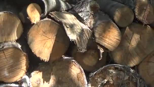 Дрова, складені в дерев'яній палубі — стокове відео