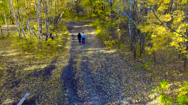 Ένας τύπος με ένα κορίτσι στο δάσος το φθινόπωρο — Αρχείο Βίντεο