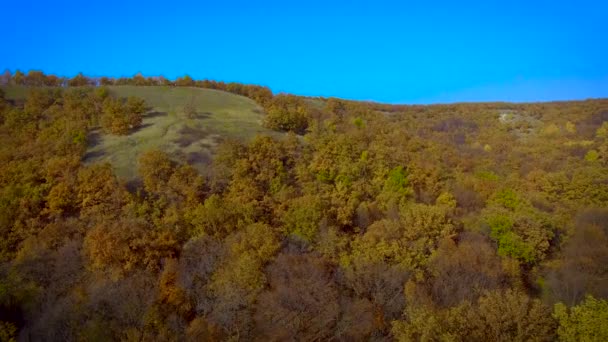 秋天的森林的全景 — 图库视频影像