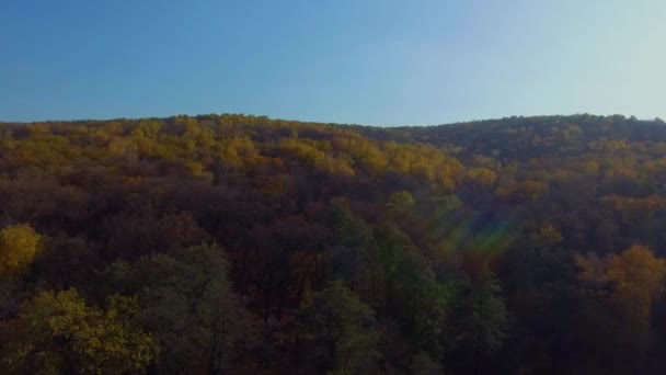 Lago en bosque de otoño — Vídeos de Stock