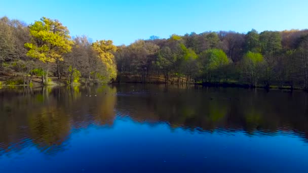 Enten auf dem Herbstsee — Stockvideo