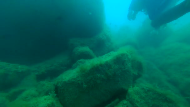 Водолаз плавает рядом с камнем — стоковое видео