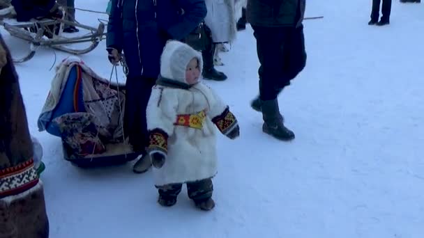 冬季的小驯鹿牧民 — 图库视频影像