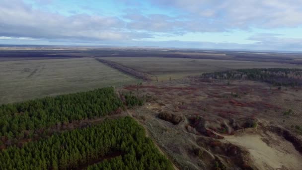 Moln, åkrar och skog — Stockvideo