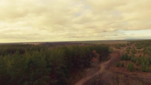 Занепад біля лісової дороги — стокове відео