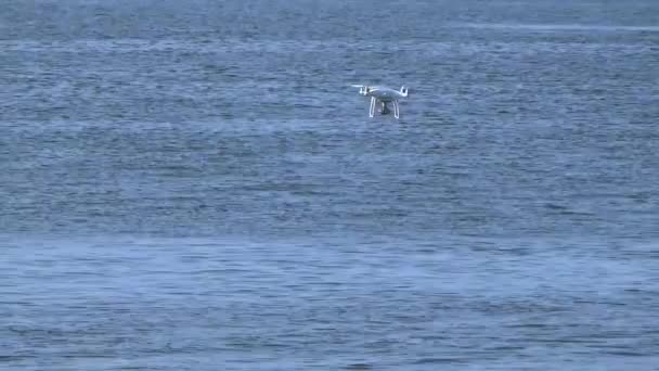 Quadcopter Boven Zee Walvis — Stockvideo