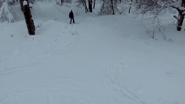 Um esquiador passa nas encostas — Vídeo de Stock