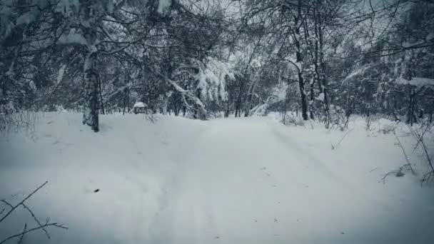 Langs de besneeuwde weg — Stockvideo