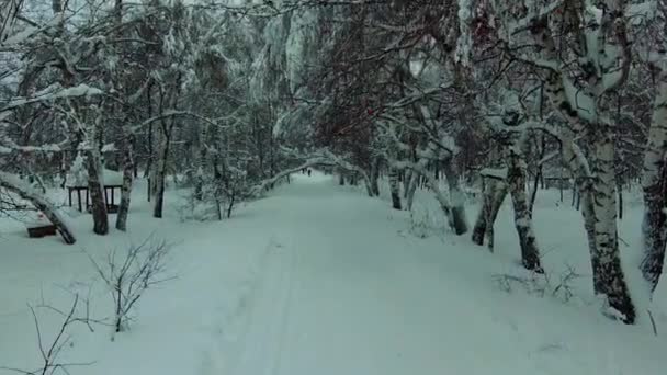 Boven de met sneeuw bedekte weg — Stockvideo