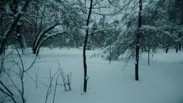 Человек несет коляску в лесу — стоковое видео