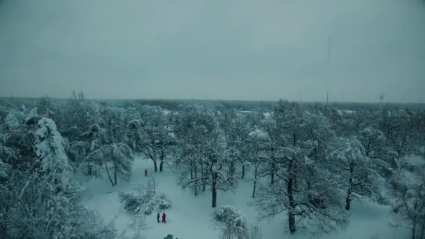 Mensen in de winter besneeuwde forest — Stockvideo