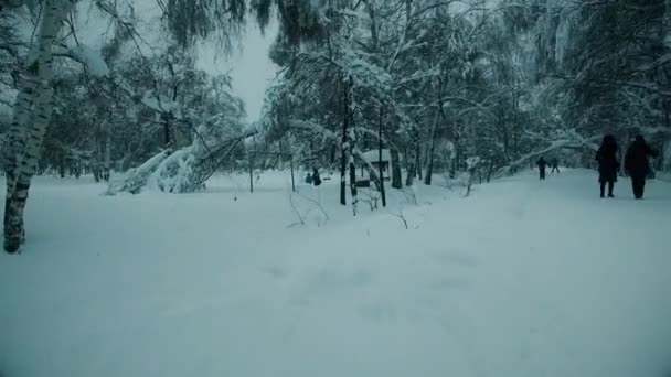 Människor går genom den snöiga skogen — Stockvideo