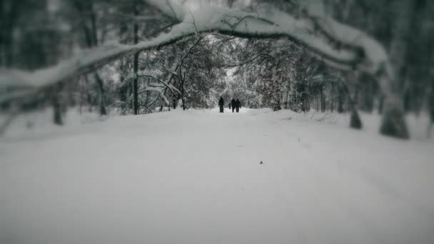 As pessoas andam em uma estrada nevada — Vídeo de Stock