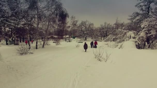 As pessoas caminham entre as árvores de neve — Vídeo de Stock