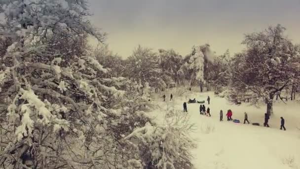 Mensen lopen door het bos van de winter — Stockvideo