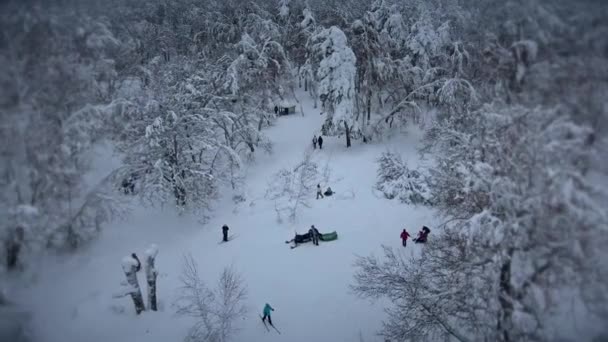 Divertimento invernale nella foresta innevata — Video Stock