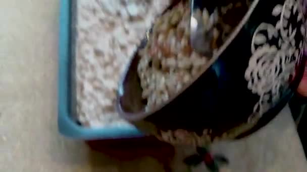 谷粒铺在面团上 — 图库视频影像