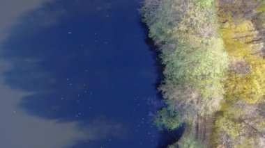 ördekler kıyıya yakın