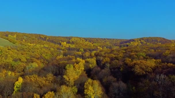 Scădere deasupra suprafeței apei — Videoclip de stoc