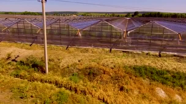 Interminables filas de invernaderos en el campo — Vídeos de Stock