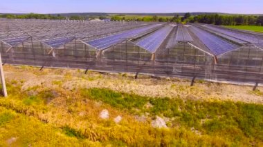 Seraların cam çatıları üzerinde