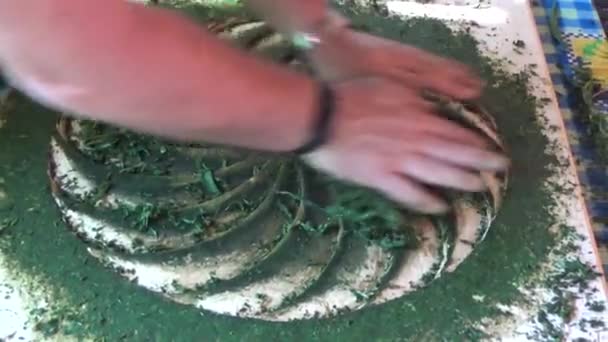 Składanie liści herbaty rękami — Wideo stockowe