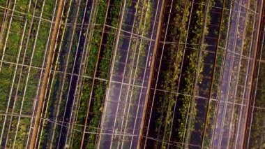 Güneş seralara yansıyor.