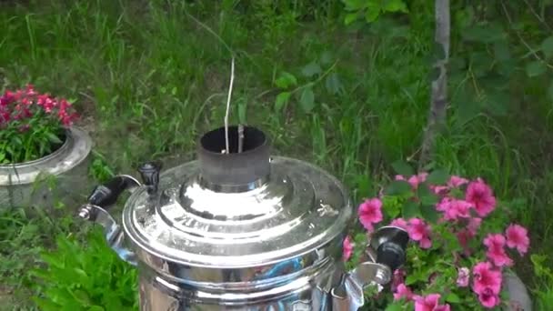 O samovar é aquecido com lenha — Vídeo de Stock